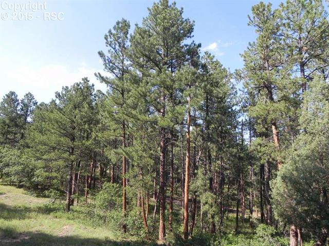 4369 Elati Road Larkspur, CO 80118 - Photo 6 of 16 Gallery Image 6