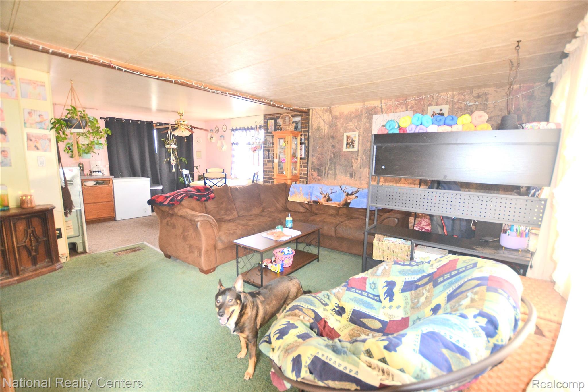 3088 7 Mile Road Sears, MI 49679 - Photo 5 of 27 Family Room with carpet flooring and ceiling fan
