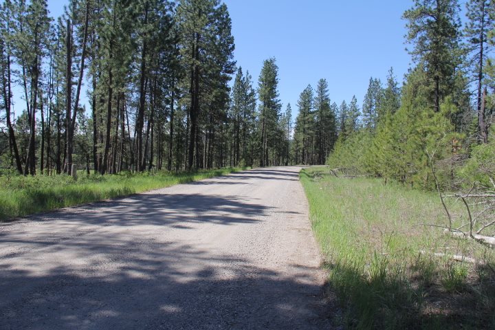 43-xx Cemetery Road Springdale, WA 99173 - Photo 1 of 21