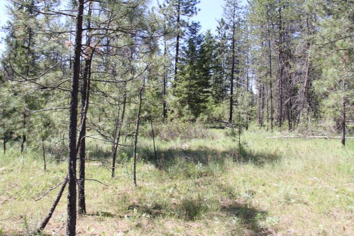 43-xx Cemetery Road Springdale, WA 99173 - Photo 13 of 21