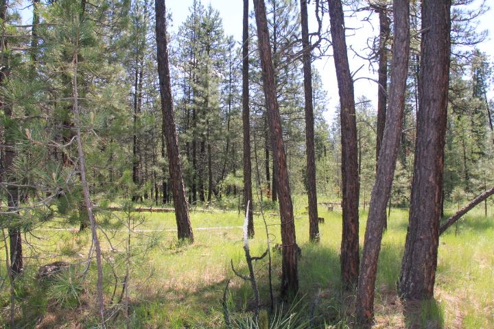 43-xx Cemetery Road Springdale, WA 99173 - Photo 14 of 21