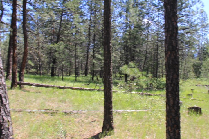 43-xx Cemetery Road Springdale, WA 99173 - Photo 15 of 21