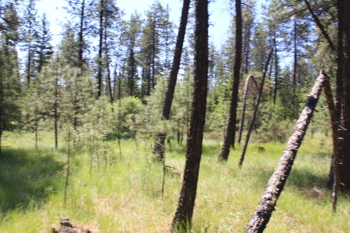 43-xx Cemetery Road Springdale, WA 99173 - Photo 16 of 21