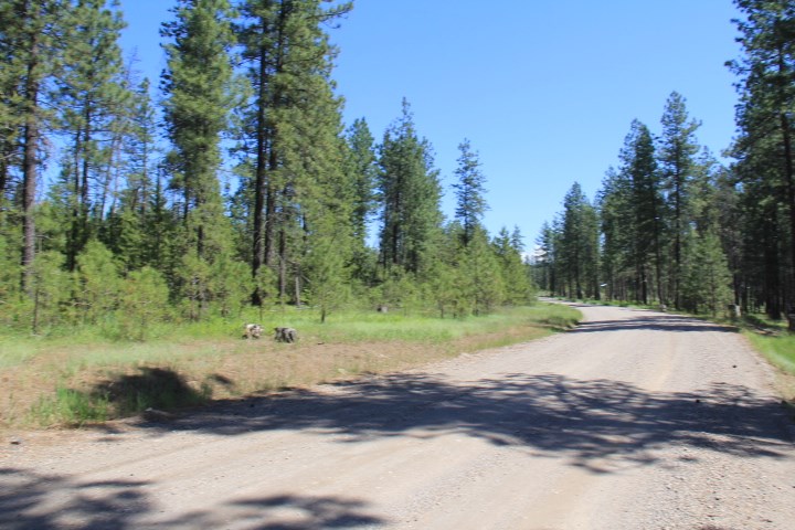 43-xx Cemetery Road Springdale, WA 99173 - Photo 19 of 21