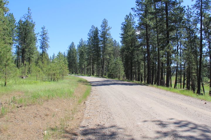 43-xx Cemetery Road Springdale, WA 99173 - Photo 20 of 21