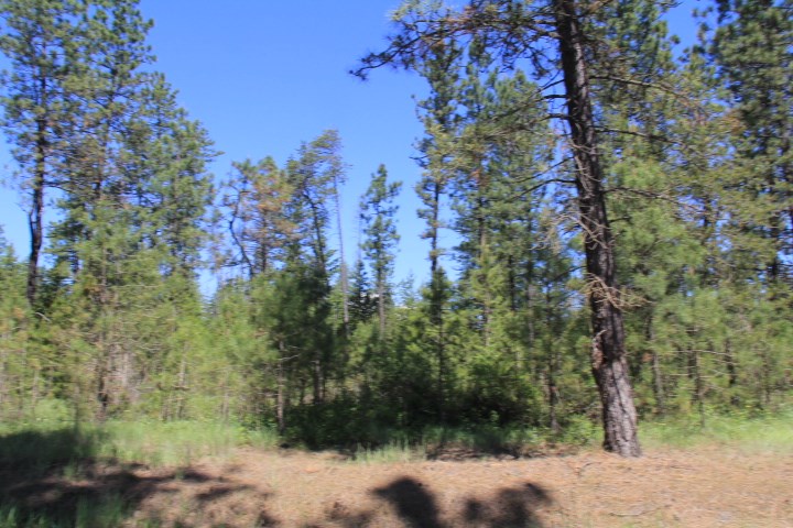 43-xx Cemetery Road Springdale, WA 99173 - Photo 3 of 21