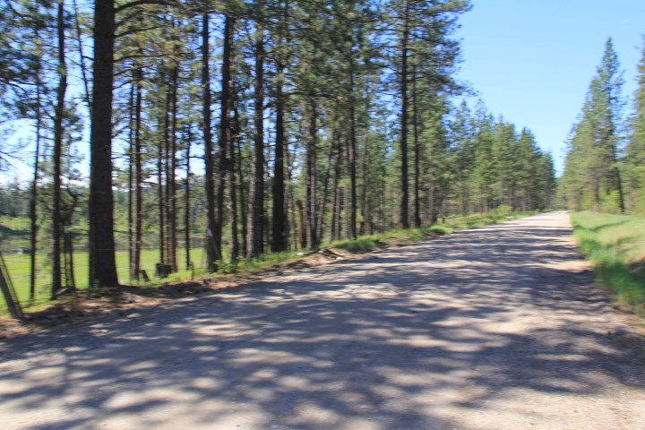 43-xx Cemetery Road Springdale, WA 99173 - Photo 21 of 21
