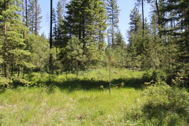 43-xx Cemetery Road Springdale, WA 99173 - Photo 8 of 21