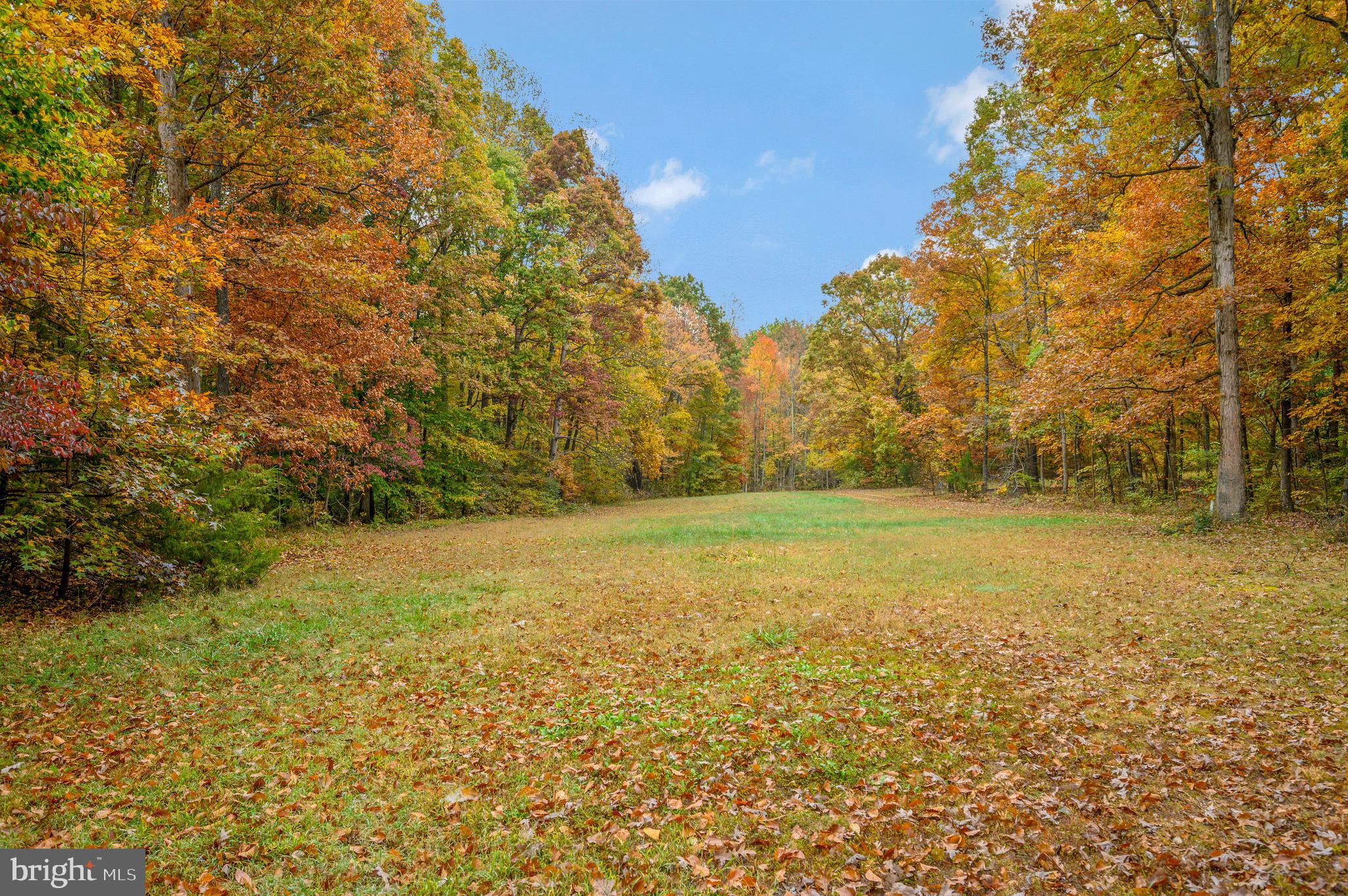 6714 South Roxbury Mill Road Spotsylvania, VA 22551 - Photo 16 of 43 Gallery Image 16