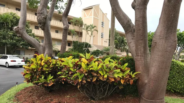 $125,000 | 6936 Huntington Lane, Unit 405, Delray Beach, FL 33446