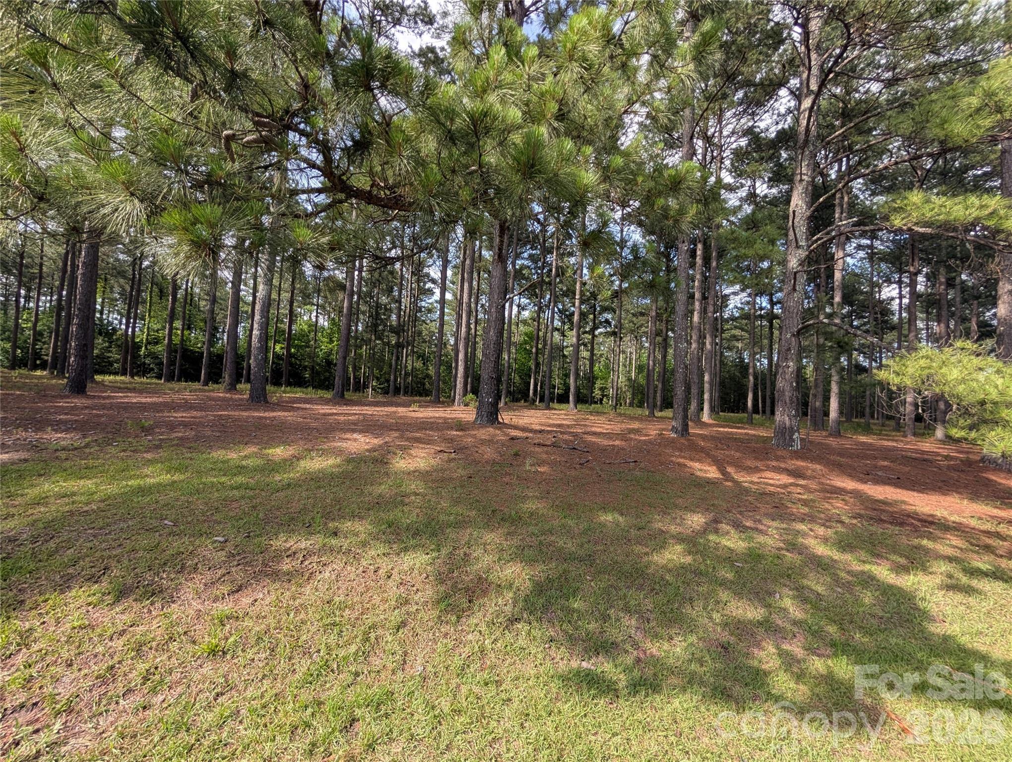 0 Blessed Hope Road, Unit 4 York, SC 29745 - Photo 3 of 5
