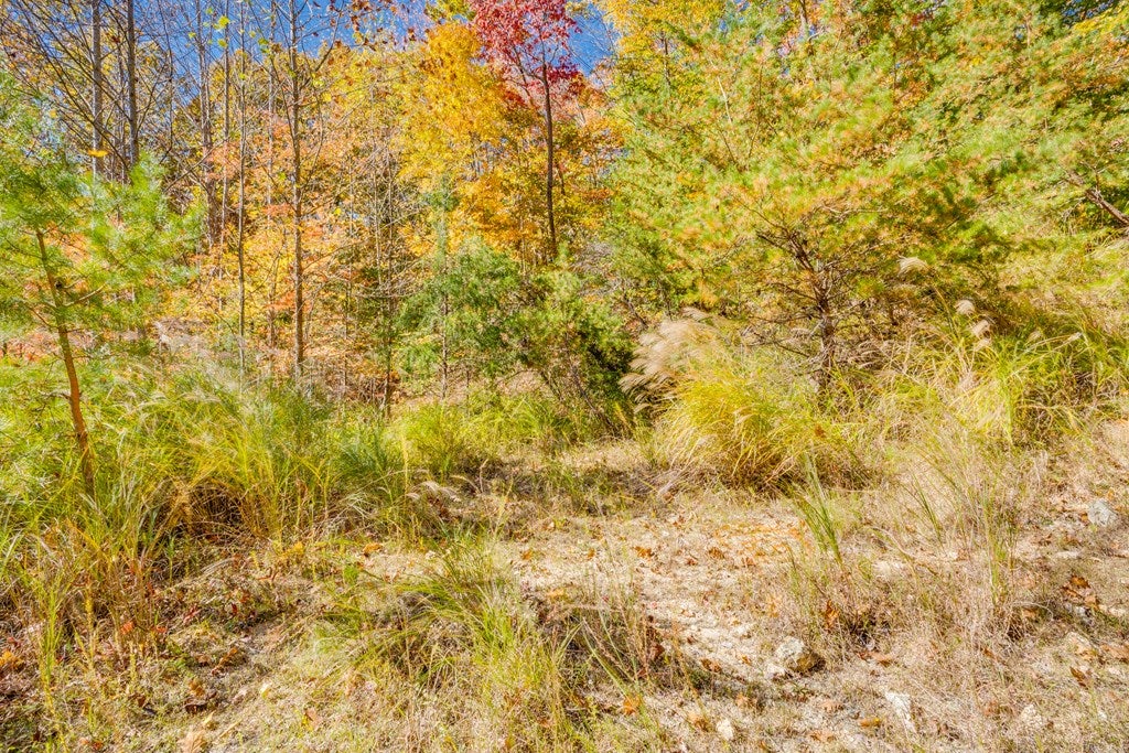Tbd Lambert Hollow Road, Unit 56(A)27G Duffield, VA 24244 - Photo 11 of 14 Gallery Image 11