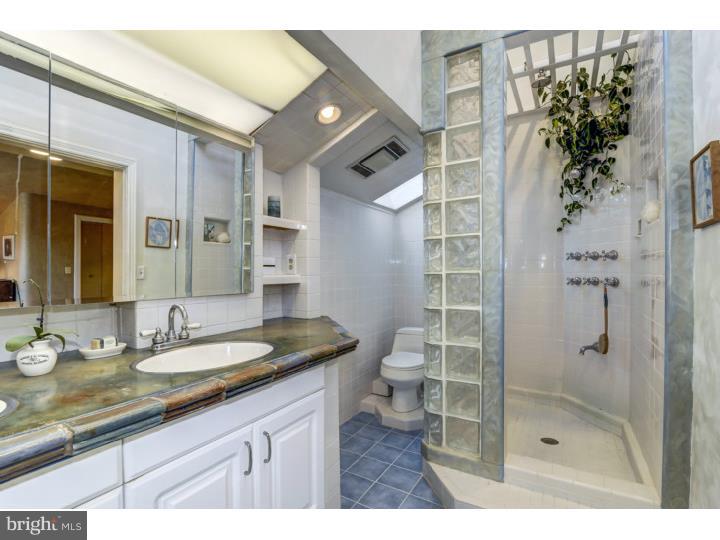 291 County Line Road Riegelsville, PA 18077 - Photo 16 of 25 Master Bathroom