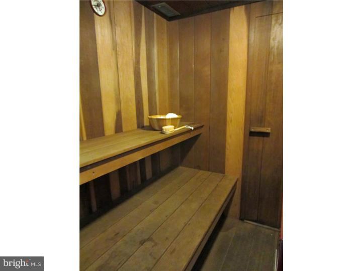 291 County Line Road Riegelsville, PA 18077 - Photo 22 of 25 Sauna