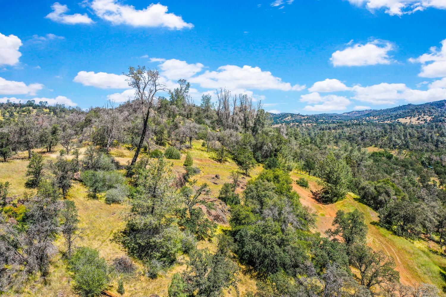 29 Township Road Browns Valley, CA 95918 - Photo 52 of 62 Gallery Image 52