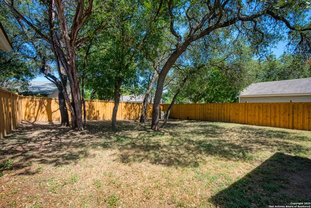 a view of a yard with large tree