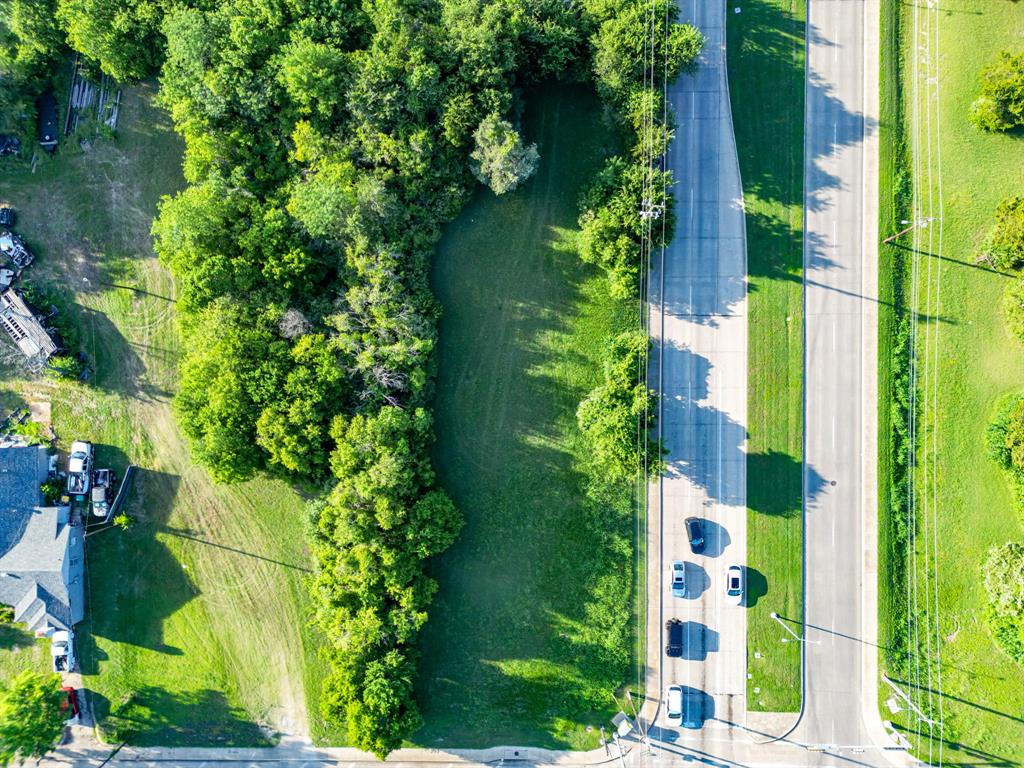 727 East Pleasant Run Road Cedar Hill, TX 75104 - Photo 9 of 23 a plant that is in front of flowers