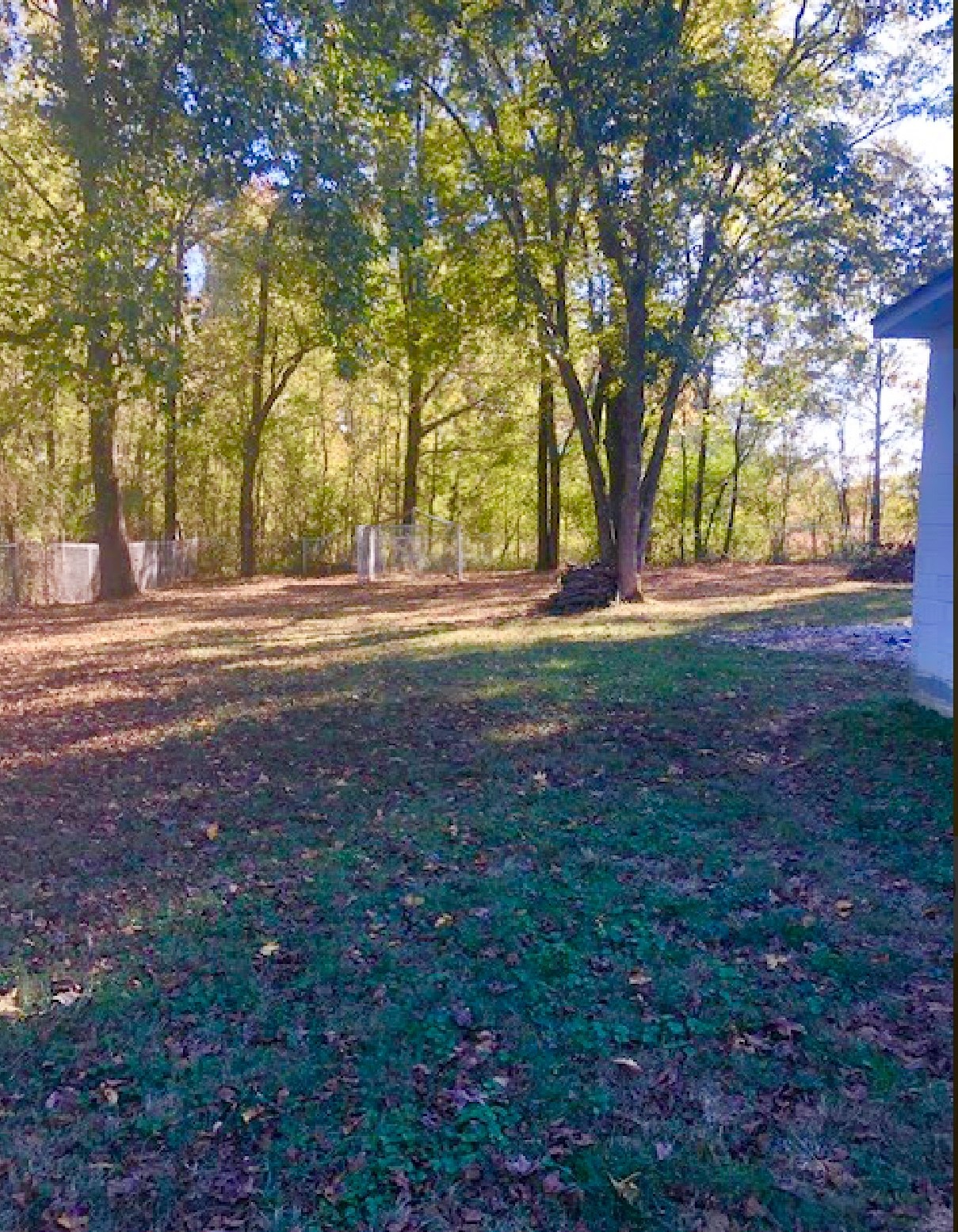 10355 Godwin Road Arlington, TN 38002 - Photo 12 of 13 a big yard with lots of green space and plants
