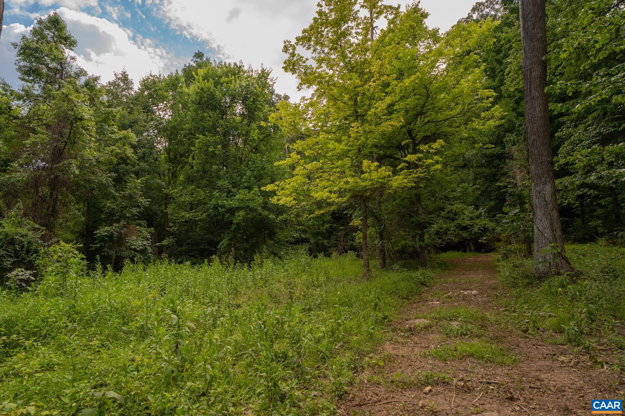 Tbd Frog Hollow Road North Winchester, VA 22603 - Photo 46 of 49 Gallery Image 46