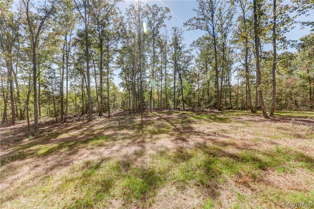 2339 Old Church Road Powhatan, VA 23139 - Photo 41 of 45 1 acre private lot with mature trees outlining pro
