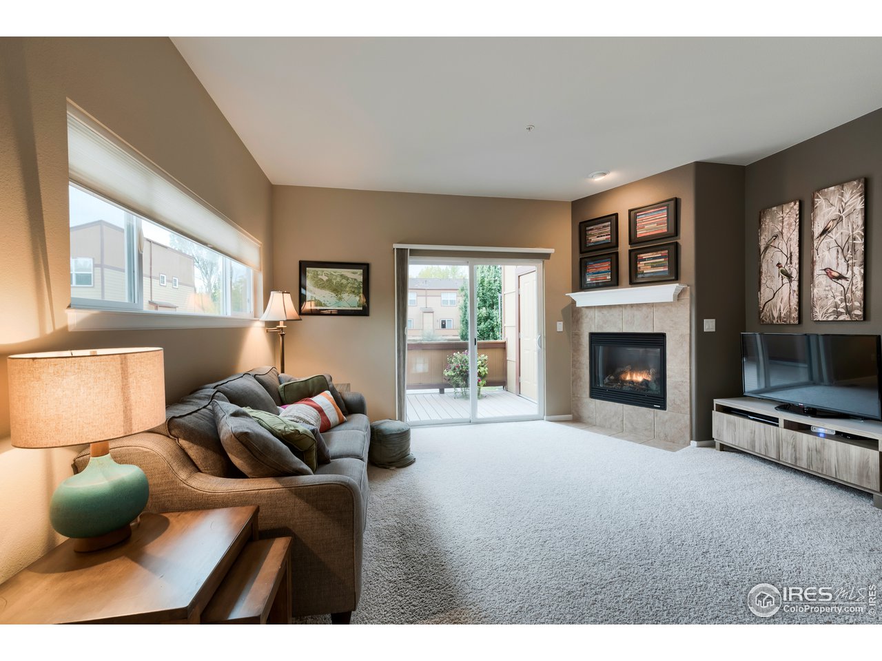 1221 East Prospect Road, Unit D1 Fort Collins, CO 80525 - Photo 12 of 28 Gallery Image 12