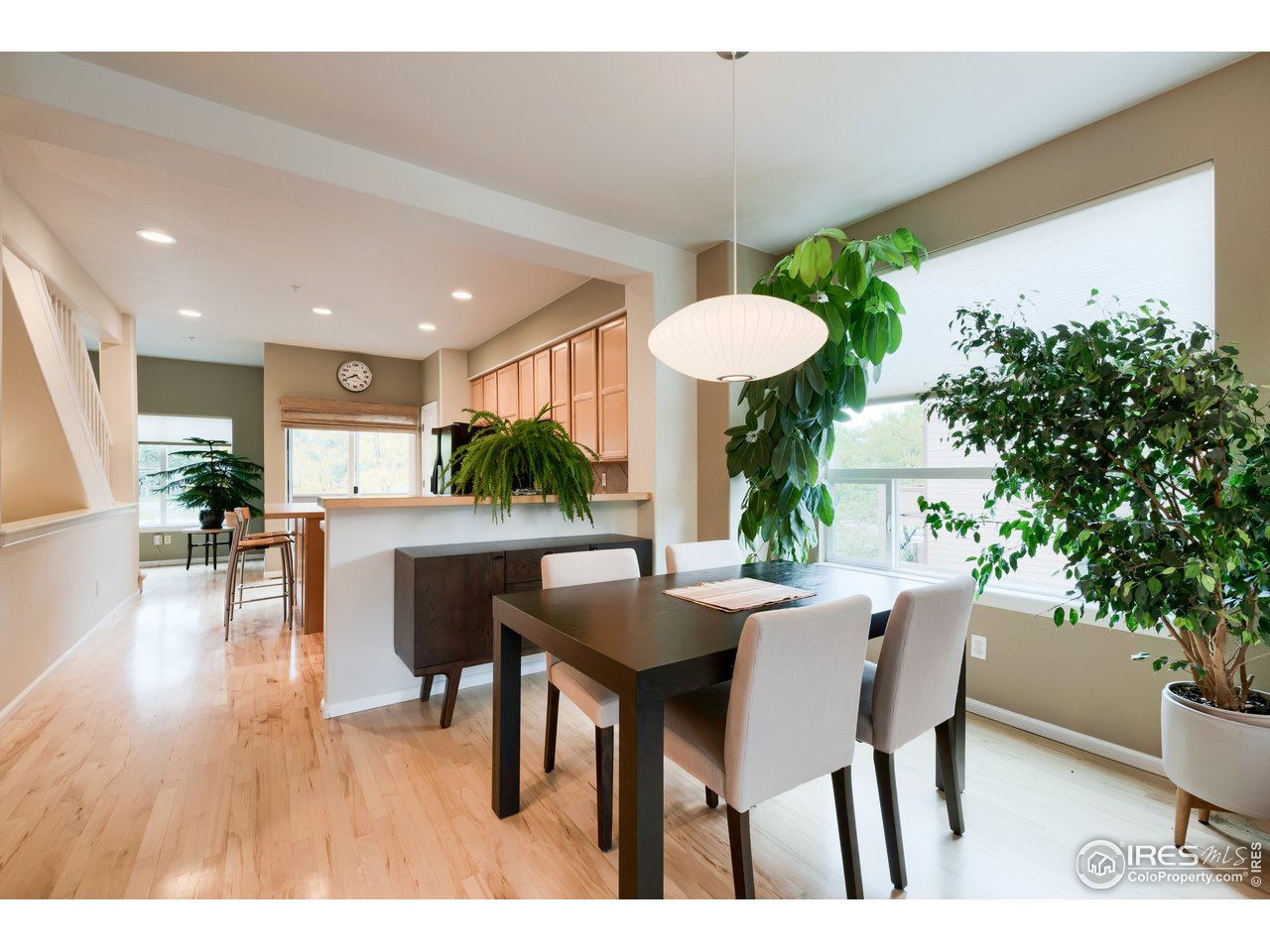 1221 East Prospect Road, Unit D1 Fort Collins, CO 80525 - Photo 28 of 28 Open floor plan with wood floors