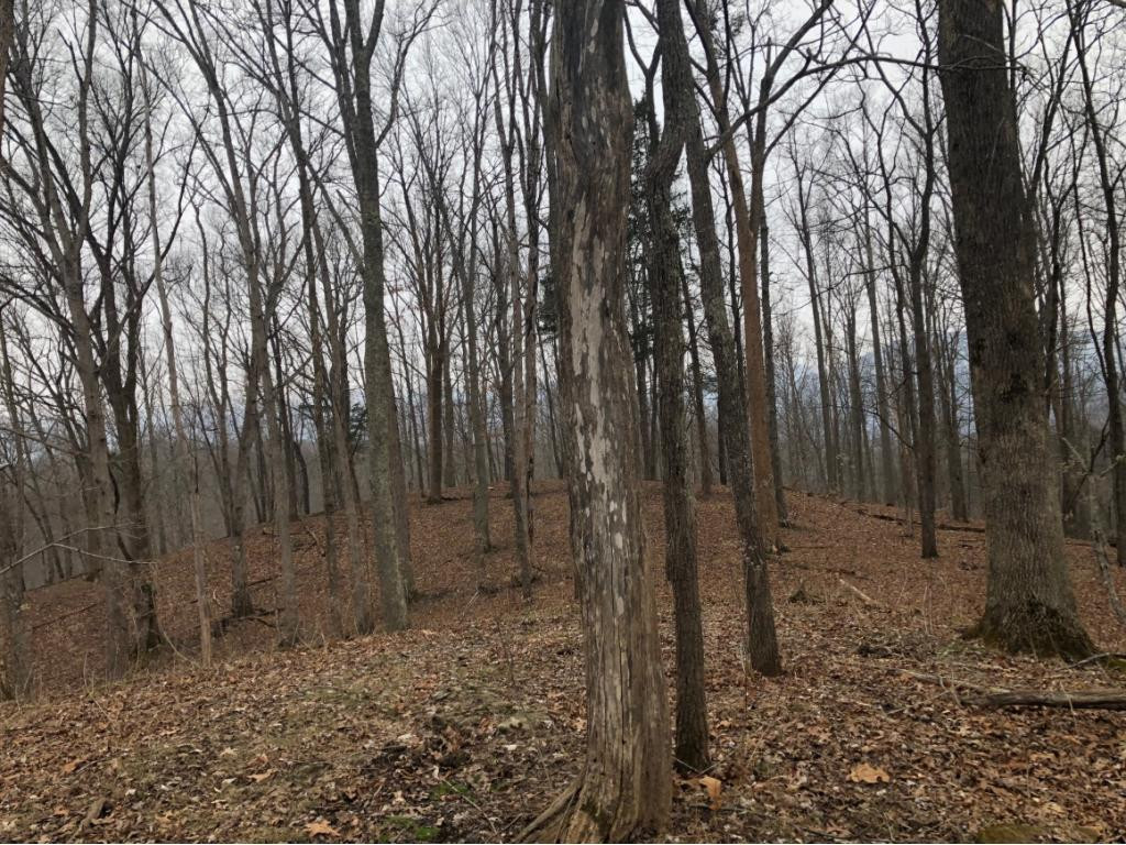 Tbd Lumberton Road Damascus, VA 24236 - Photo 1 of 1 Photo 1