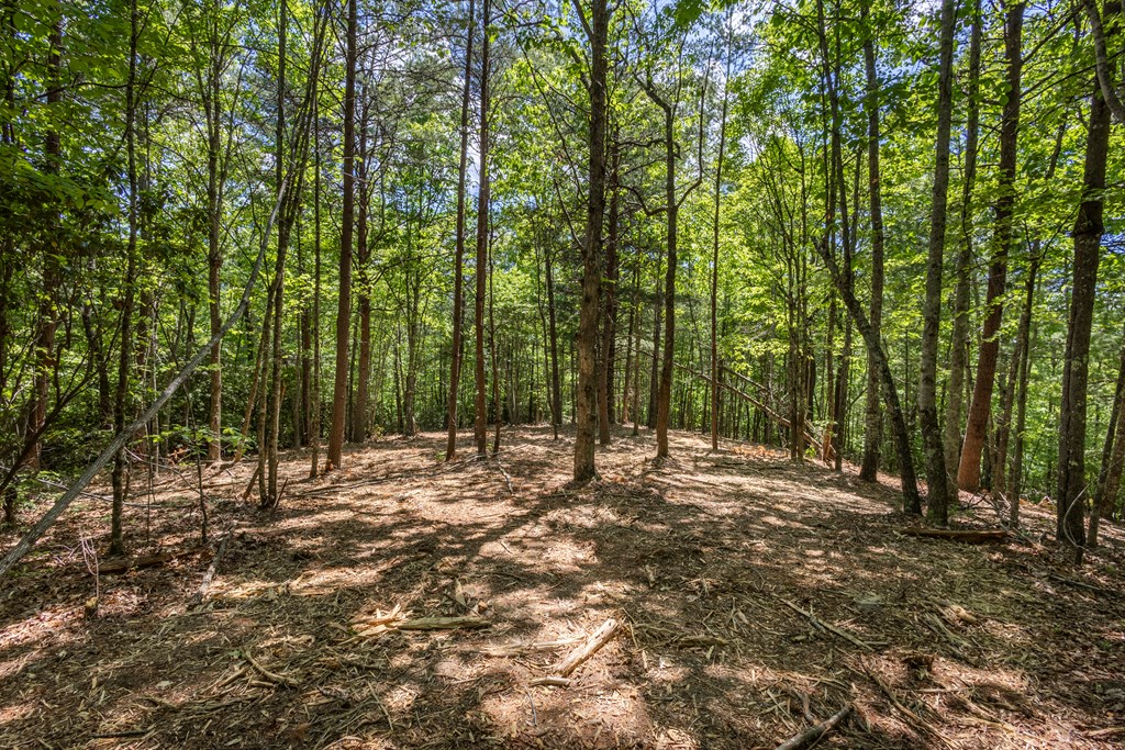 4.0-acre Donley Road Murphy, NC 28906 - Photo 10 of 15