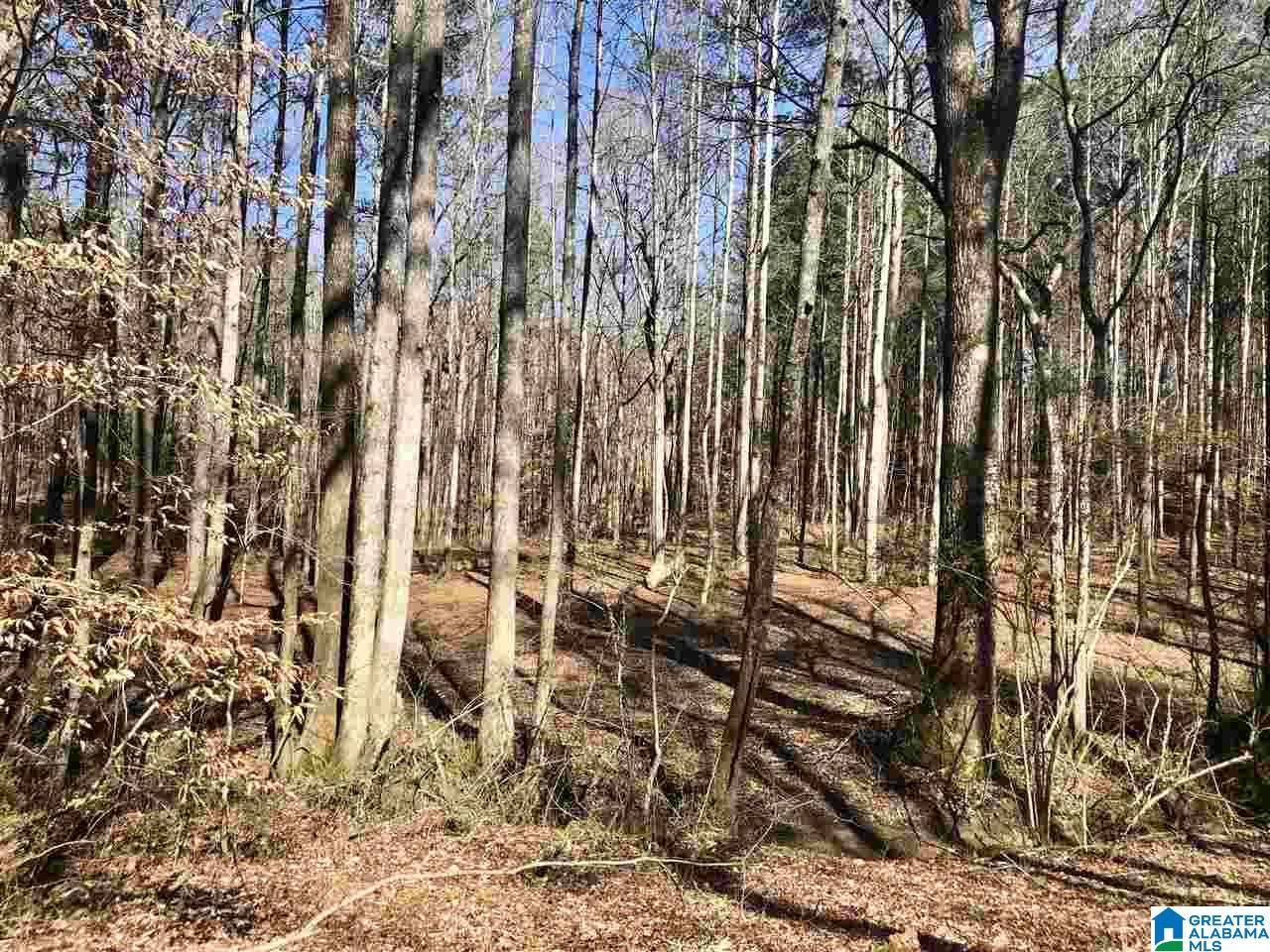 Campbell Street, Unit 1 Heflin, AL 36264 - Photo 13 of 15
