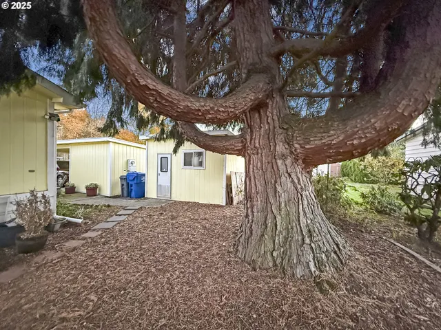 a view of a house with a tree in front