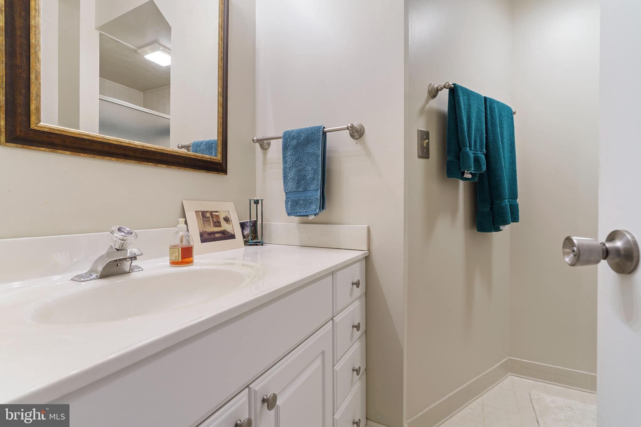 14225 Sawmill Court Phoenix, MD 21131 - Photo 35 of 43 Lower Level Bath