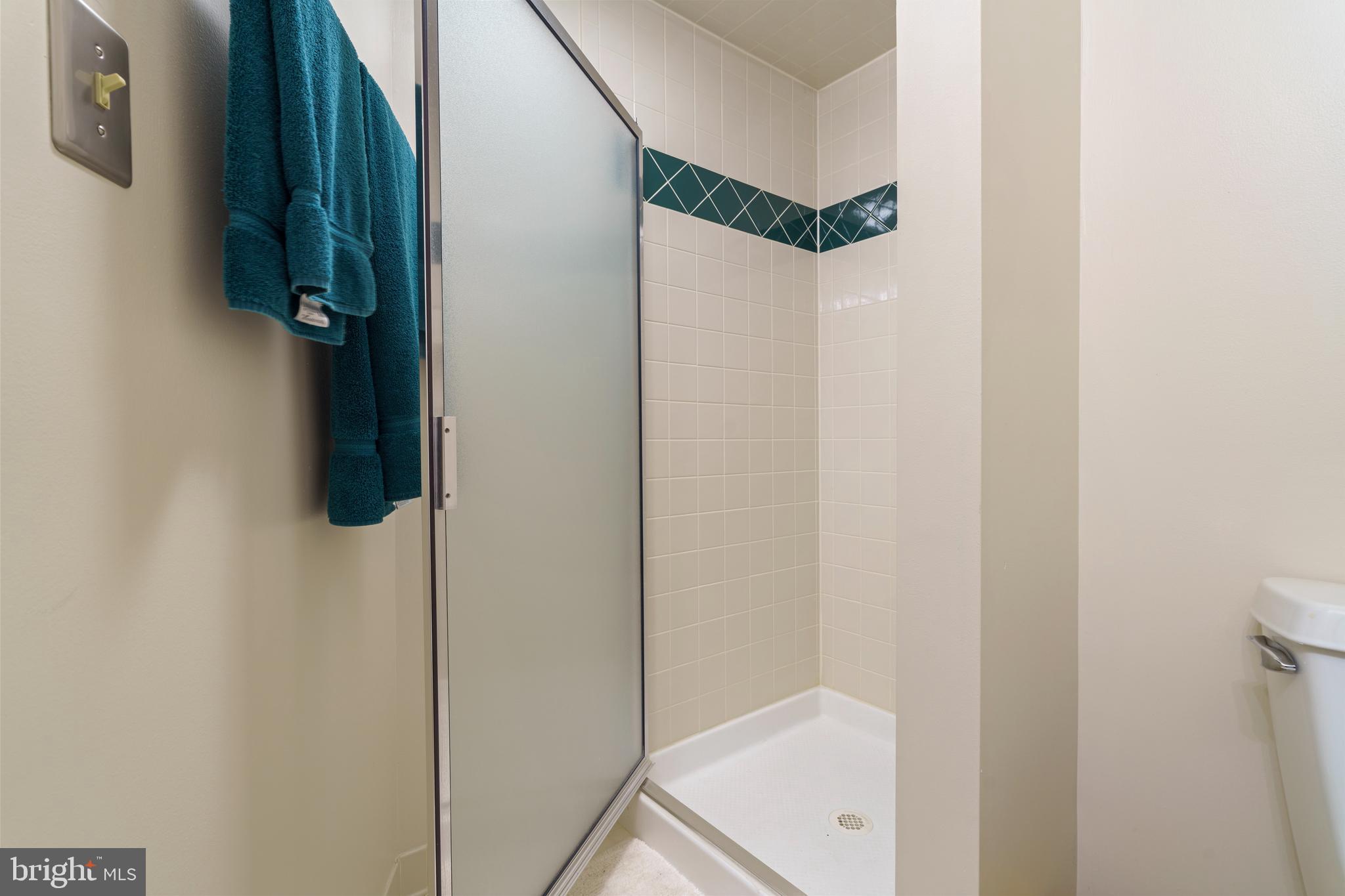 14225 Sawmill Court Phoenix, MD 21131 - Photo 36 of 43 Lower Level Bath