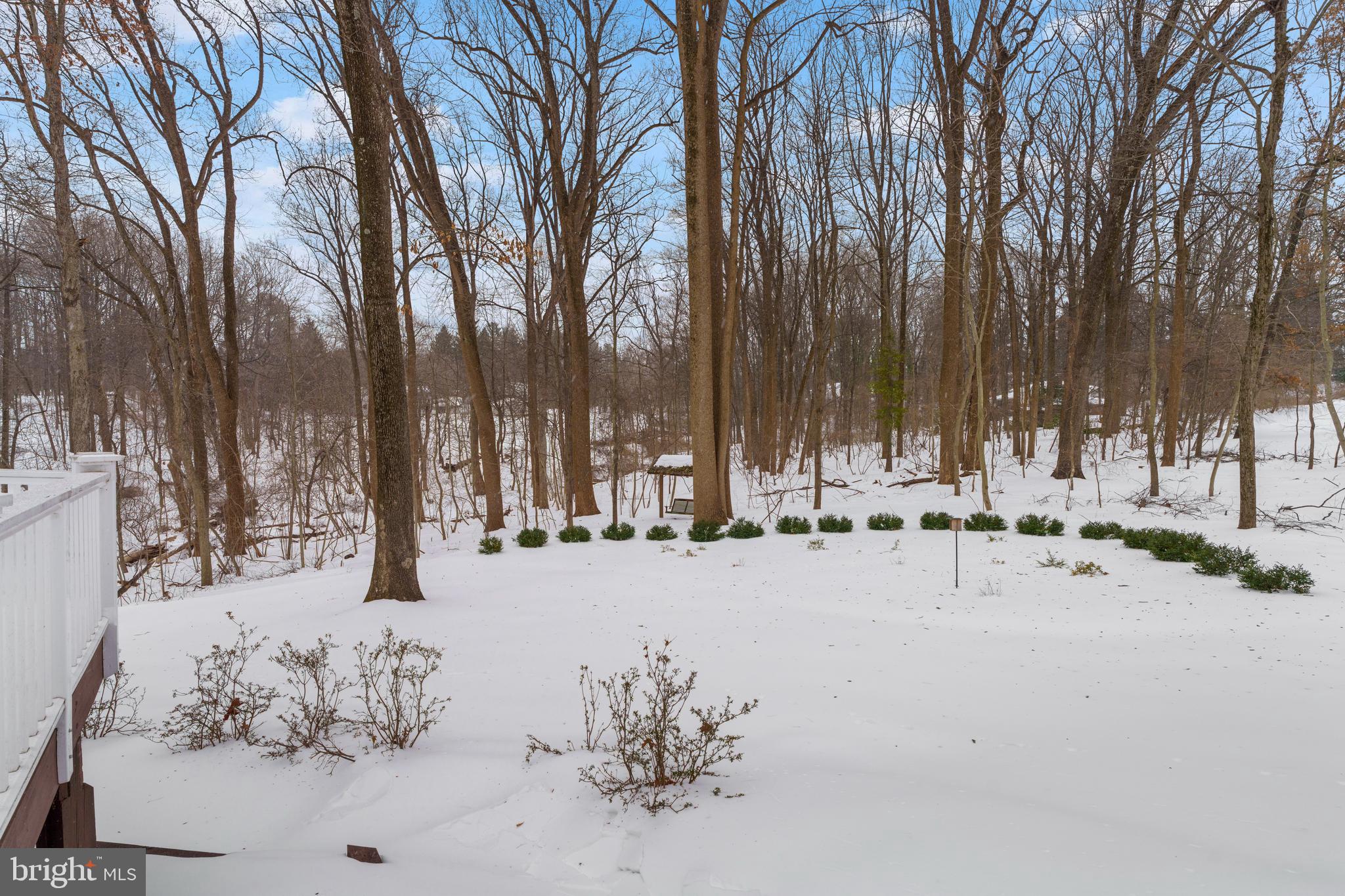 14225 Sawmill Court Phoenix, MD 21131 - Photo 42 of 43 Rear Exterior