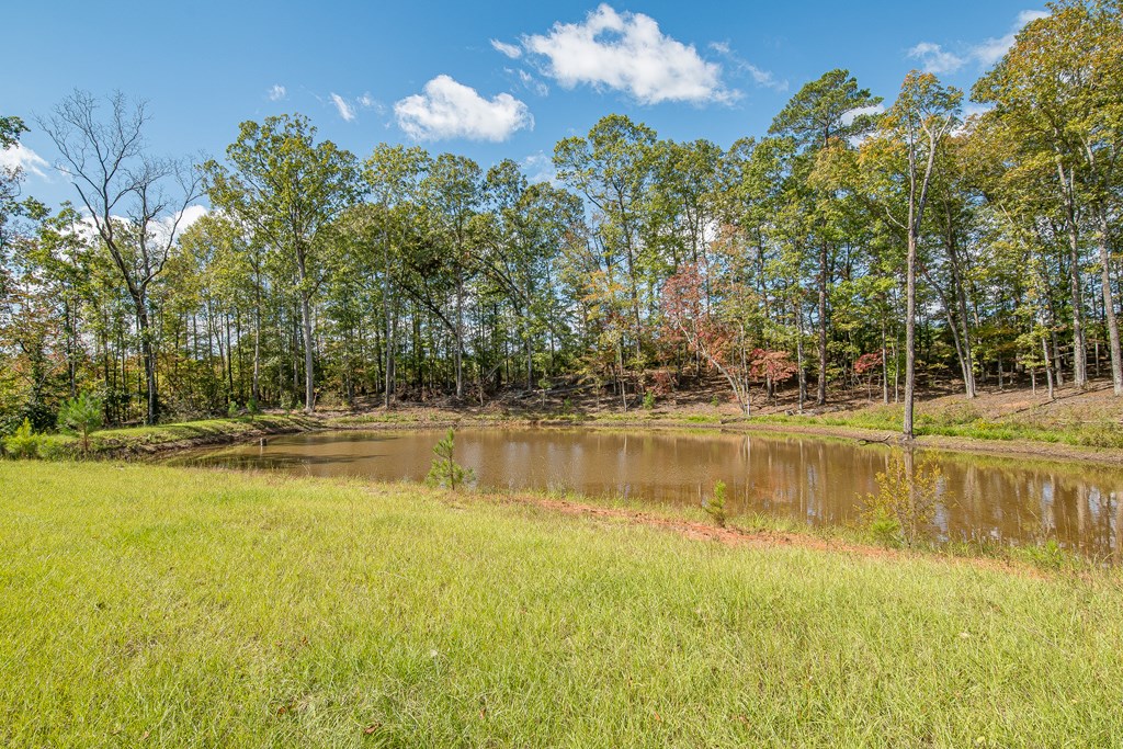 25 Johnson Mill Road Hamilton, GA 31811 - Photo 53 of 62 Gallery Image 53