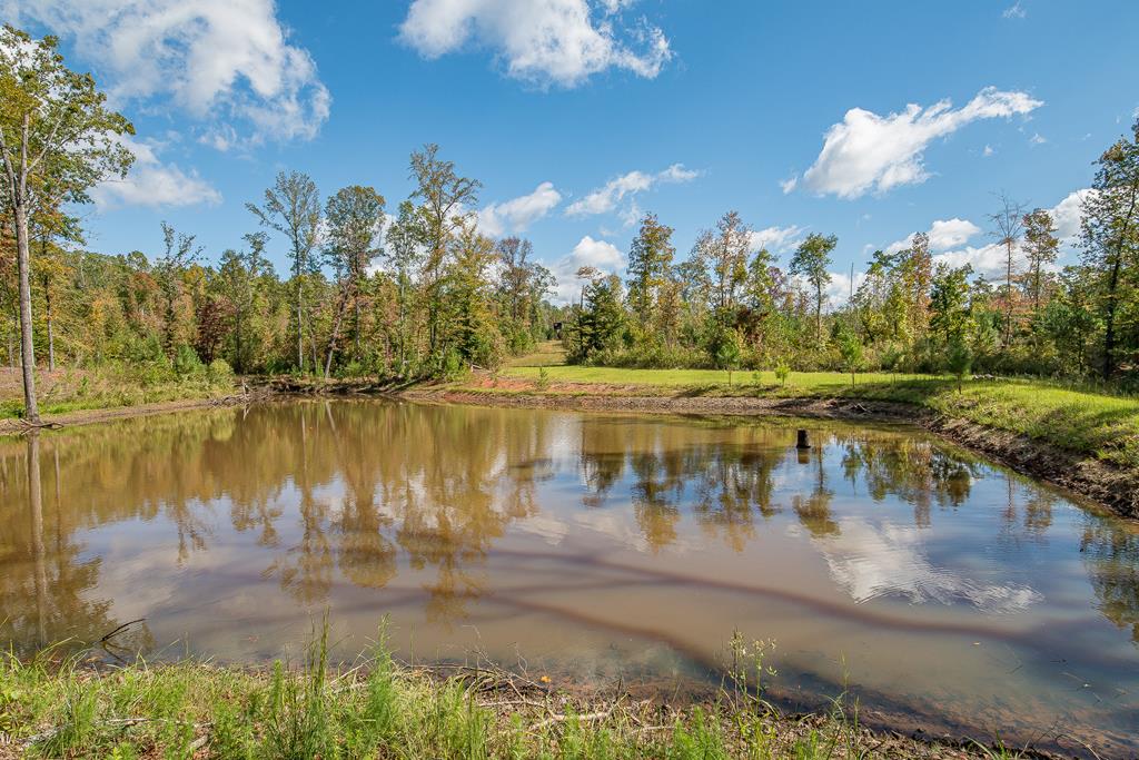 25 Johnson Mill Road Hamilton, GA 31811 - Photo 54 of 62 Gallery Image 54