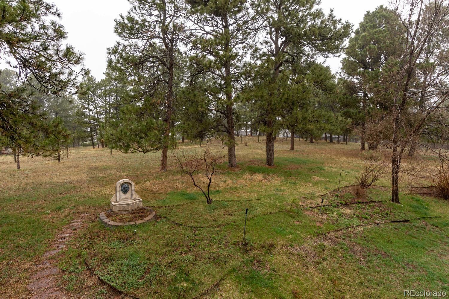 37732 Sable Ridge Road Elizabeth, CO 80107 - Photo 10 of 35 Gallery Image 10