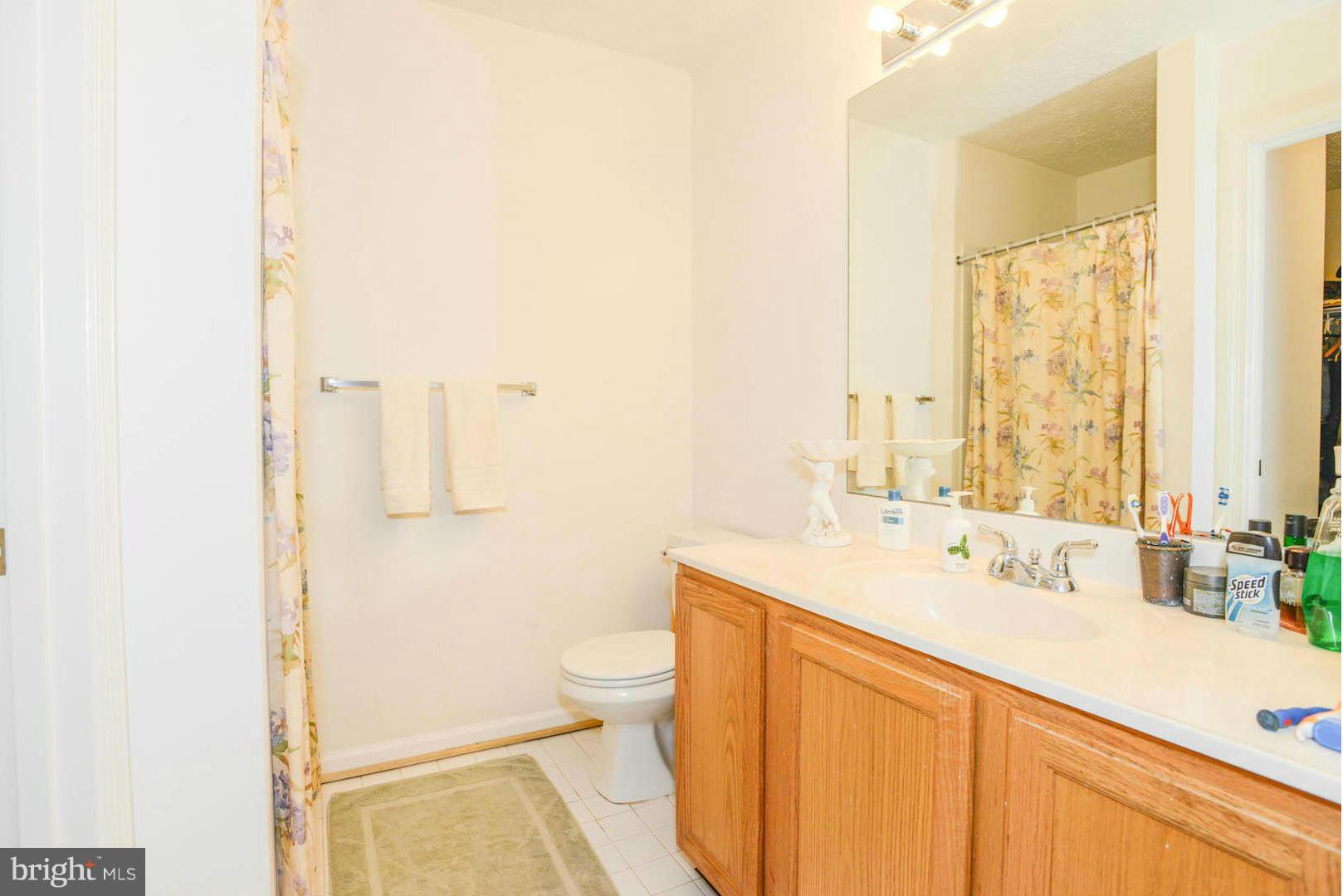 21 Ridge Manor Court Damascus, MD 20872 - Photo 14 of 30 Bath (Master)