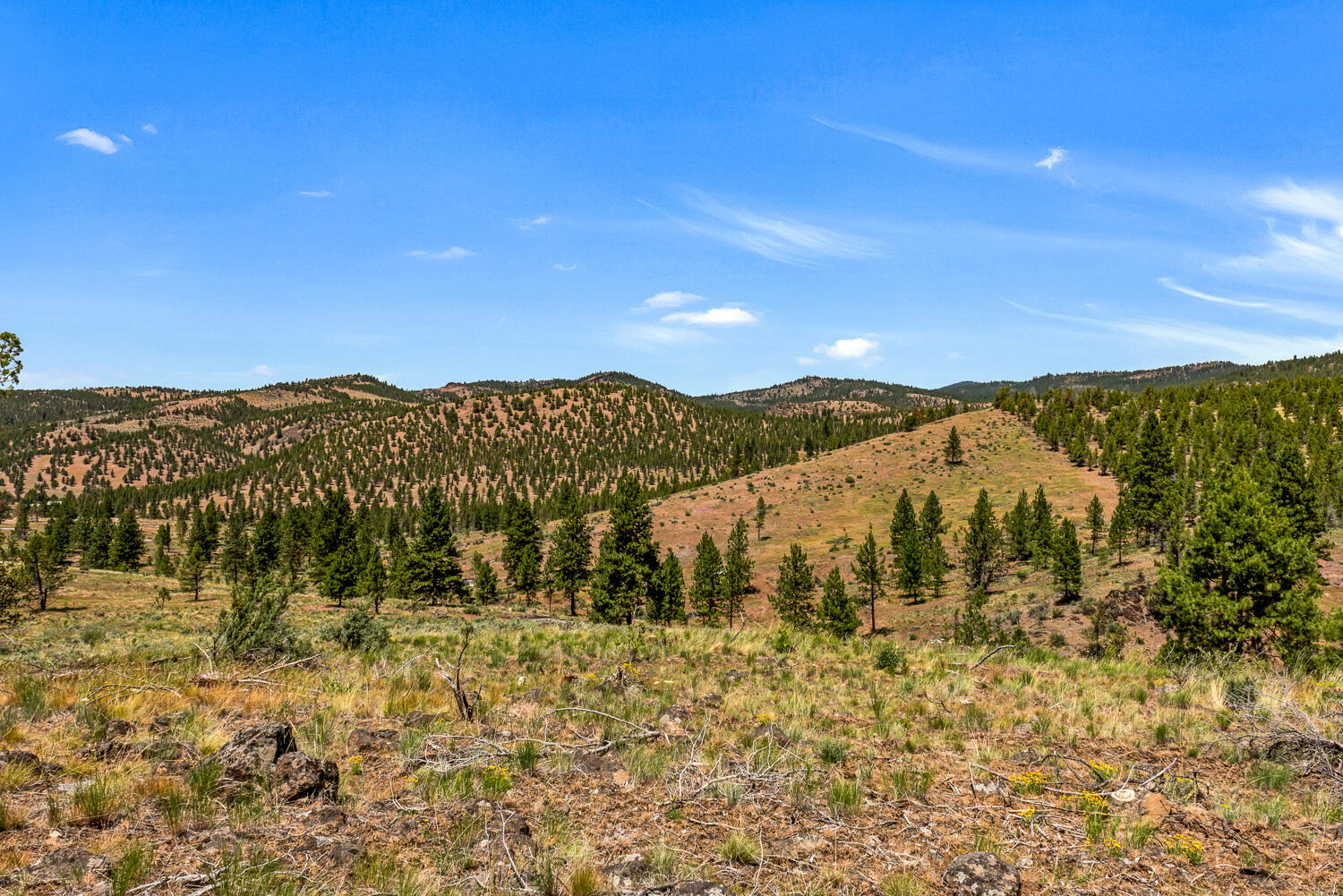 9988 Northeast Cody Ridge Road Prineville, OR 97754 - Photo 41 of 49 Cody Ridge 041