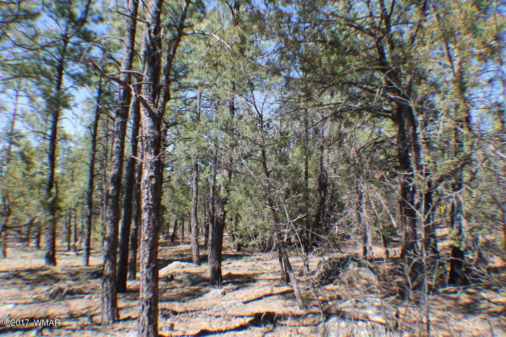 94 G Show Low Lake Road Lakeside, AZ 85929 - Photo 11 of 23