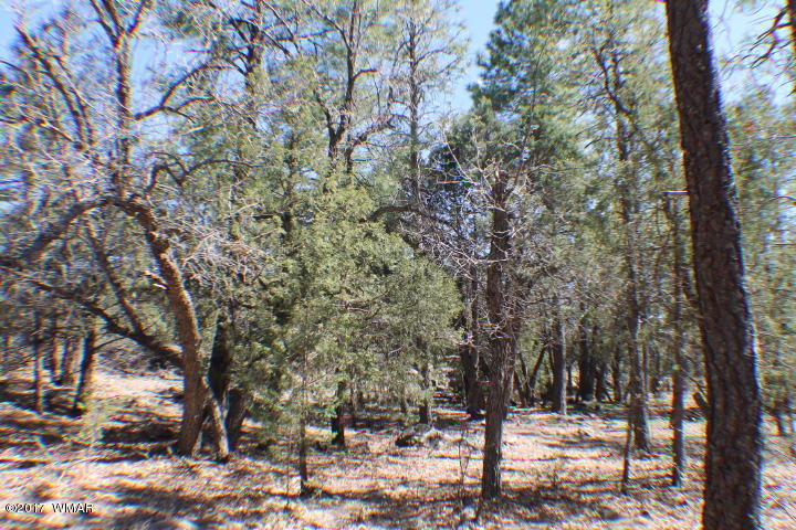 94 G Show Low Lake Road Lakeside, AZ 85929 - Photo 12 of 23