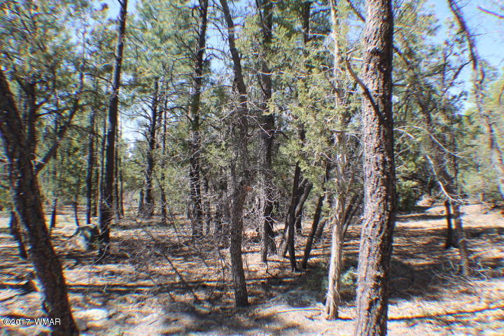 94 G Show Low Lake Road Lakeside, AZ 85929 - Photo 13 of 23