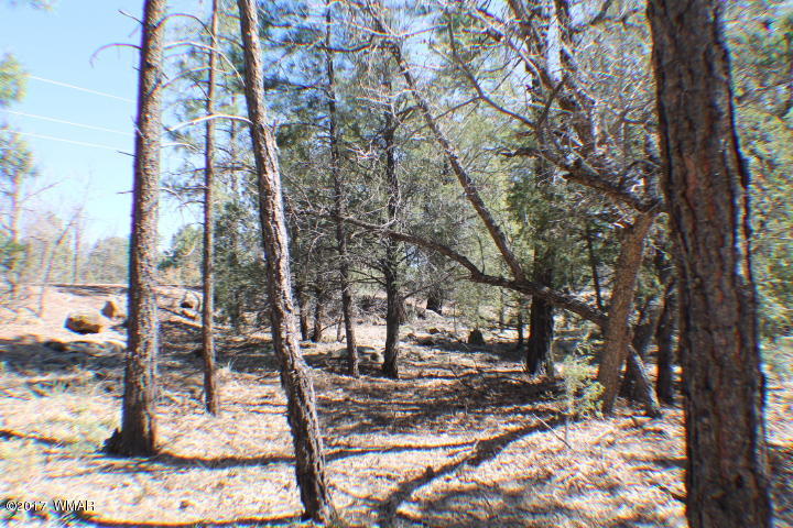 94 G Show Low Lake Road Lakeside, AZ 85929 - Photo 14 of 23