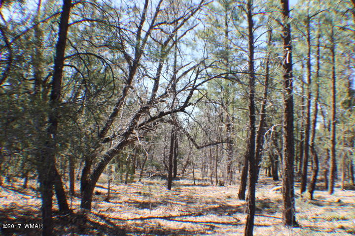 94 G Show Low Lake Road Lakeside, AZ 85929 - Photo 15 of 23