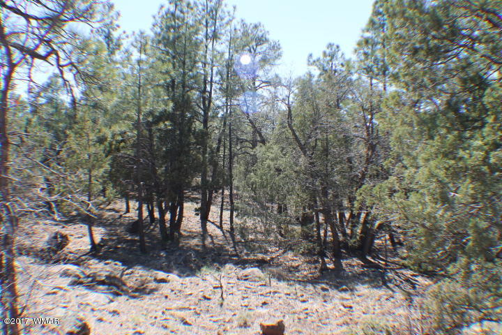 94 G Show Low Lake Road Lakeside, AZ 85929 - Photo 16 of 23