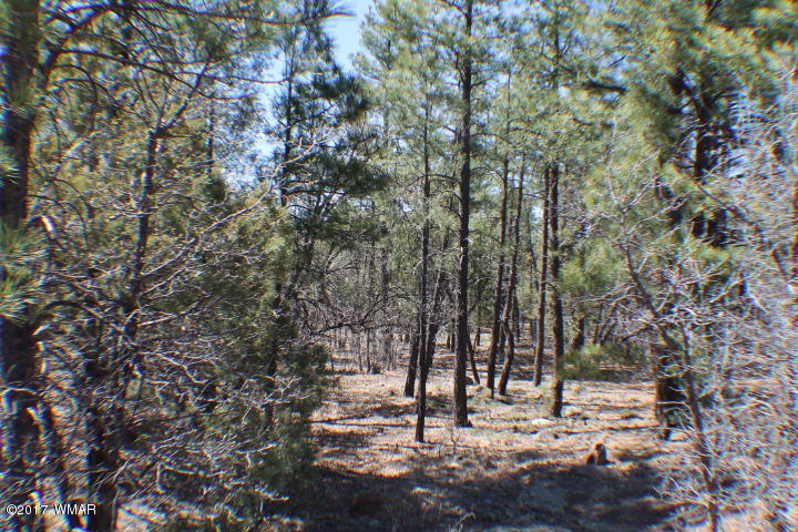 94 G Show Low Lake Road Lakeside, AZ 85929 - Photo 17 of 23