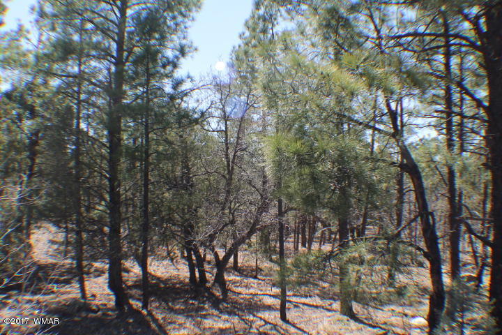 94 G Show Low Lake Road Lakeside, AZ 85929 - Photo 19 of 23