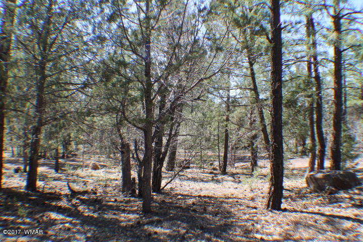 94 G Show Low Lake Road Lakeside, AZ 85929 - Photo 2 of 23