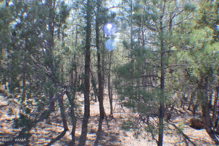 94 G Show Low Lake Road Lakeside, AZ 85929 - Photo 21 of 23