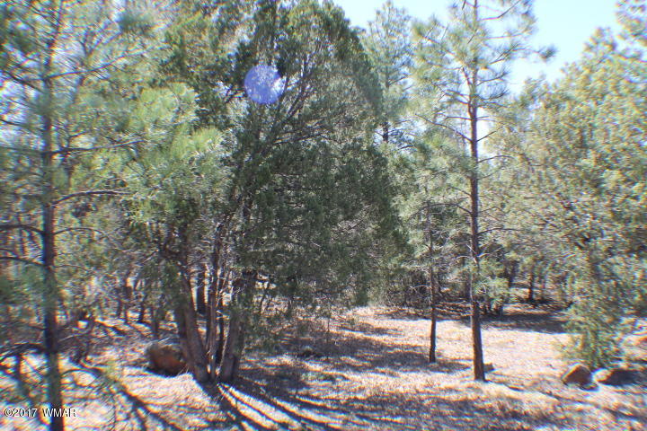 94 G Show Low Lake Road Lakeside, AZ 85929 - Photo 22 of 23