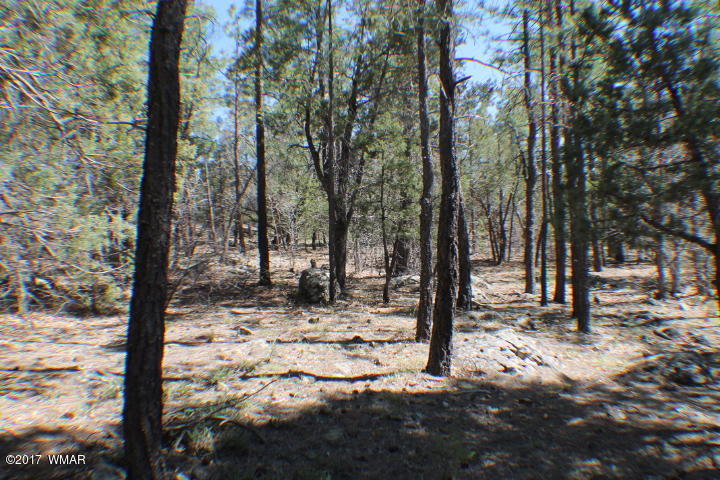 94 G Show Low Lake Road Lakeside, AZ 85929 - Photo 3 of 23